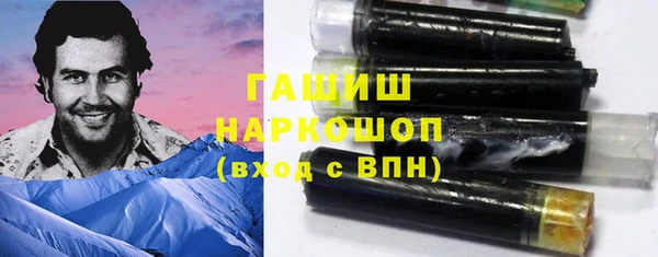 гашик Новозыбков