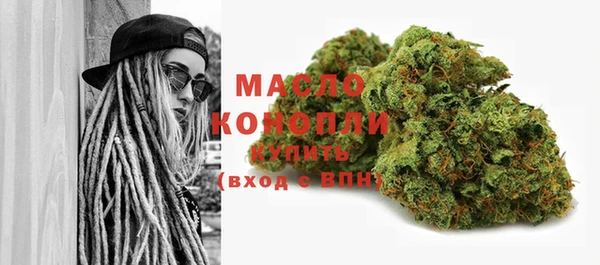 гашик Новозыбков