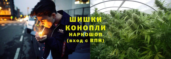 каннабис Новокубанск