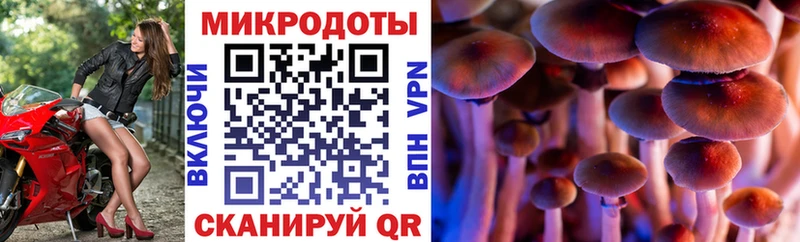 Псилоцибиновые грибы MAGIC MUSHROOMS где купить наркотик Луга