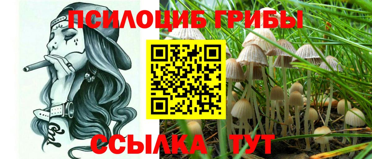 Псилоцибиновые грибы MAGIC MUSHROOMS Луга