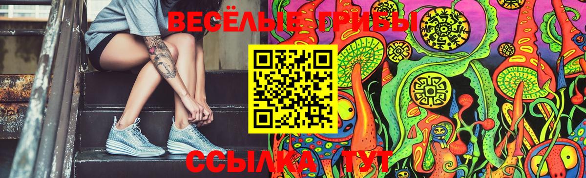 Галлюциногенные грибы Psilocybine cubensis  Псилоцибиновые грибы Magic Shrooms  Луга  Вход с VPN 